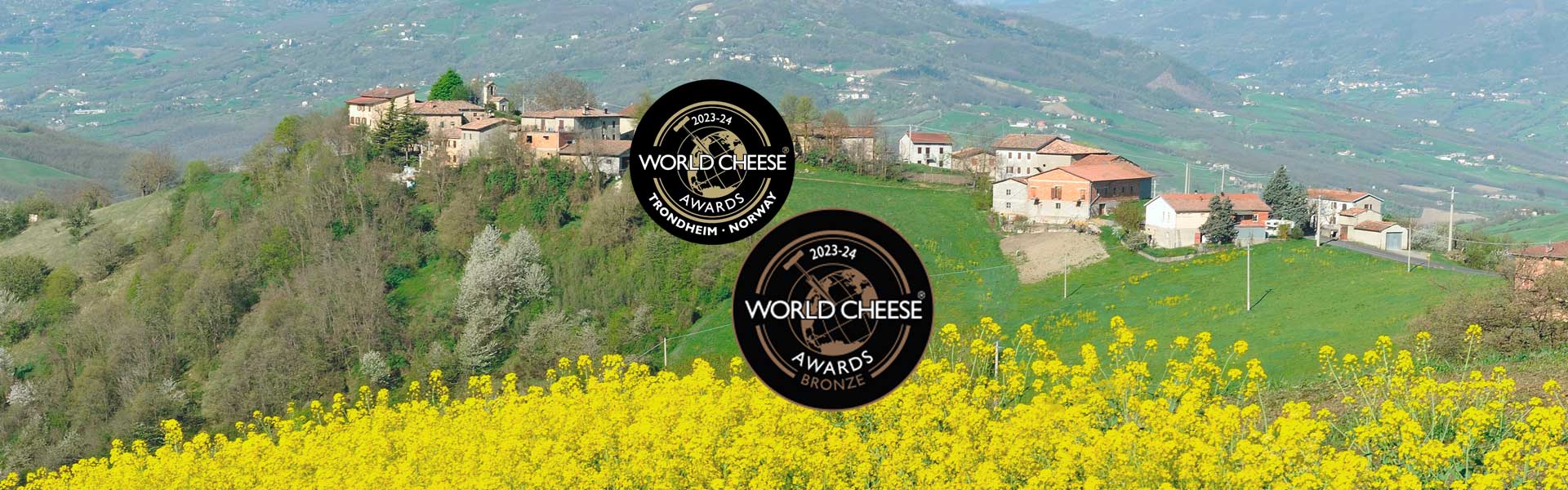 World Cheese Award 2023-2024 la classifica del Parmigiano Reggiano