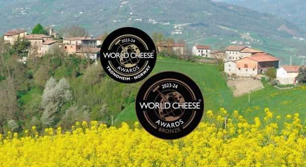 World Cheese Award 2023-2024 la classifica del Parmigiano Reggiano