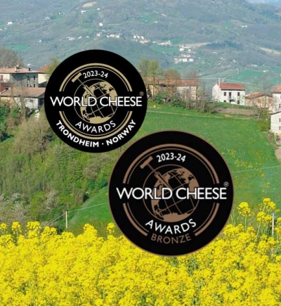 World Cheese Award 2023-2024 la classifica del Parmigiano Reggiano